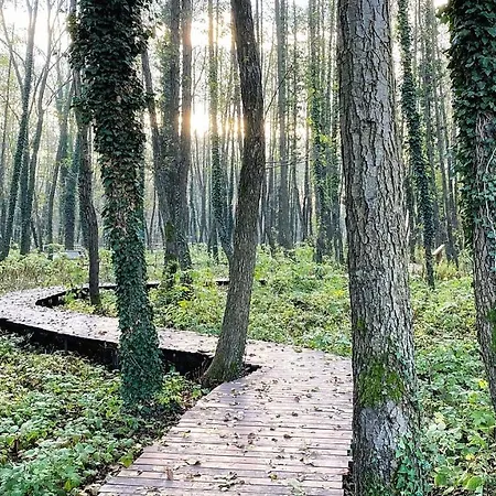 Kala Wellness Апарт-отель 4*